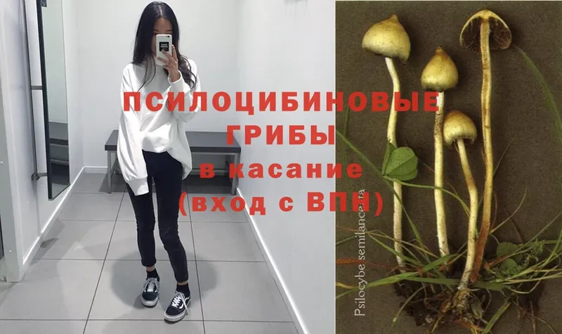 Псилоцибиновые грибы Magic Shrooms  Екатеринбург 